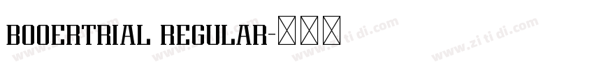 booertrial regular字体转换 booertrial regular字体转换